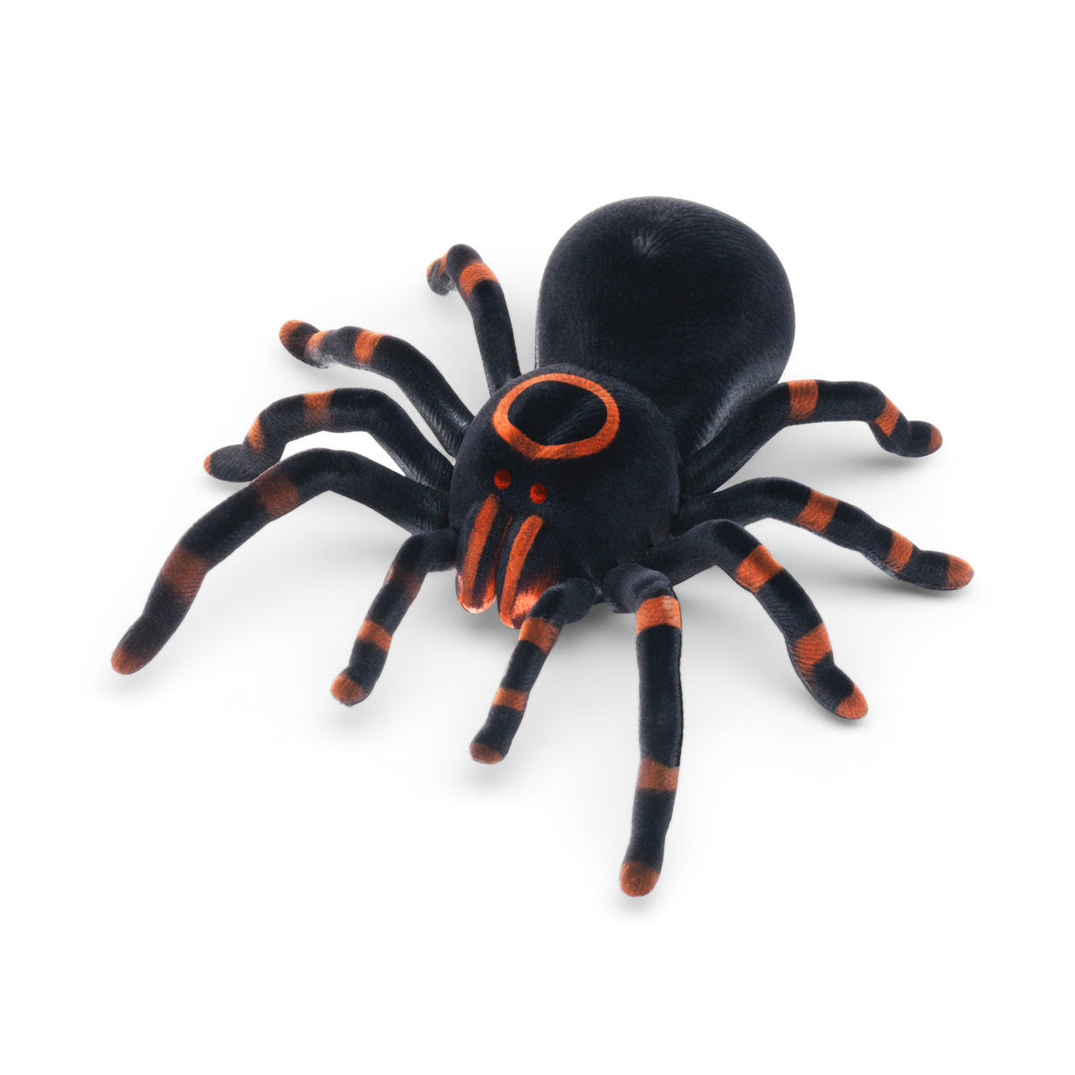 RC Tarantula