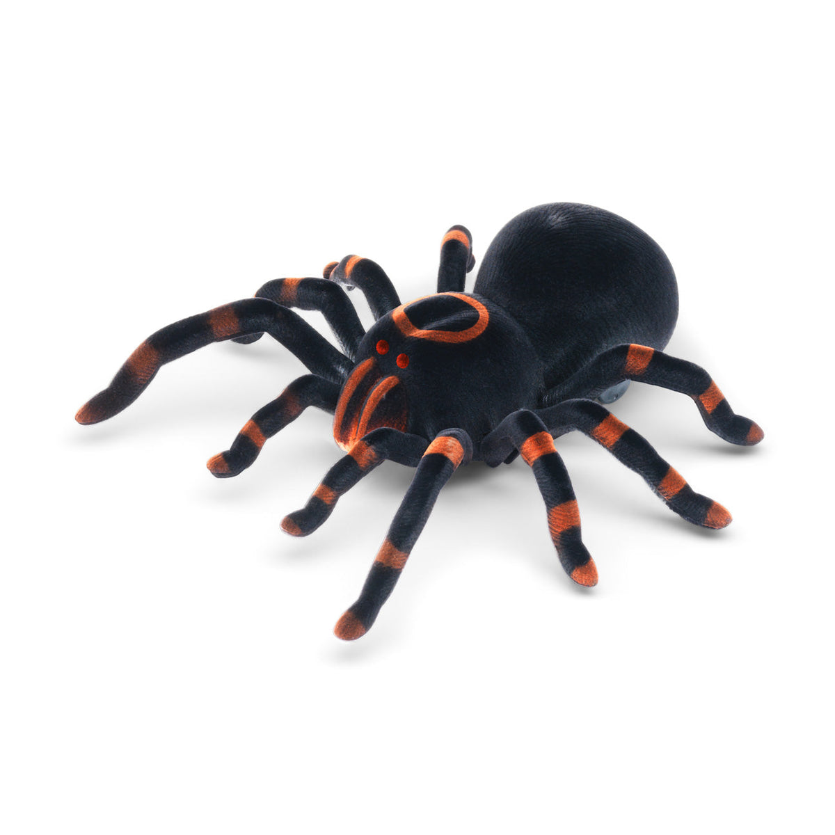 RC Tarantula