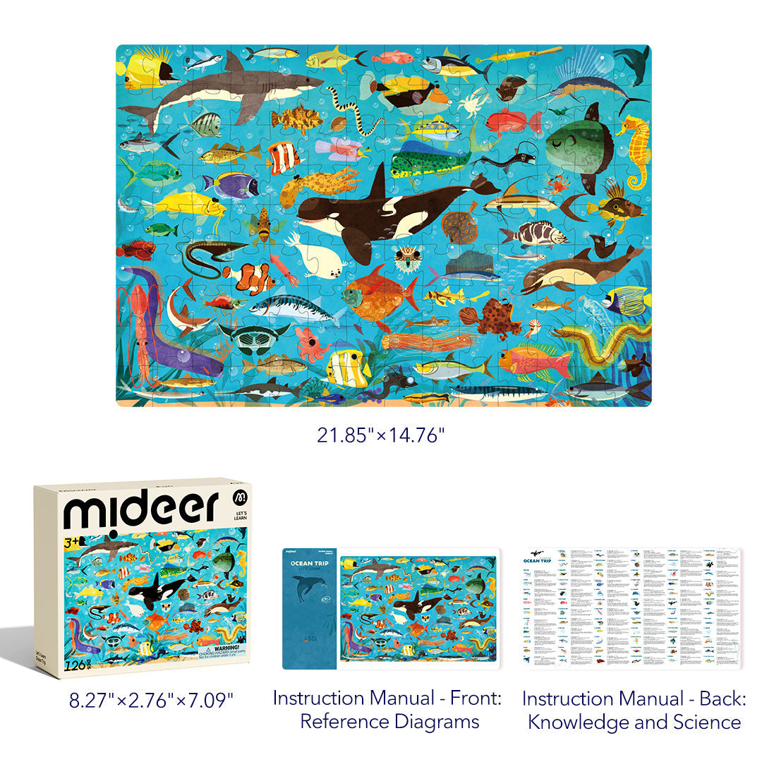 Mideer Let's Learn: Ocean Trip