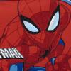 Spider-Man Toiletry Bag with Accessories