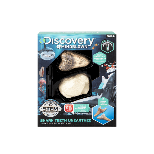 Mini Shark Tooth Excavation Kit (2 Pack)