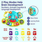 HOLA 2-in-1 Musical Elephant