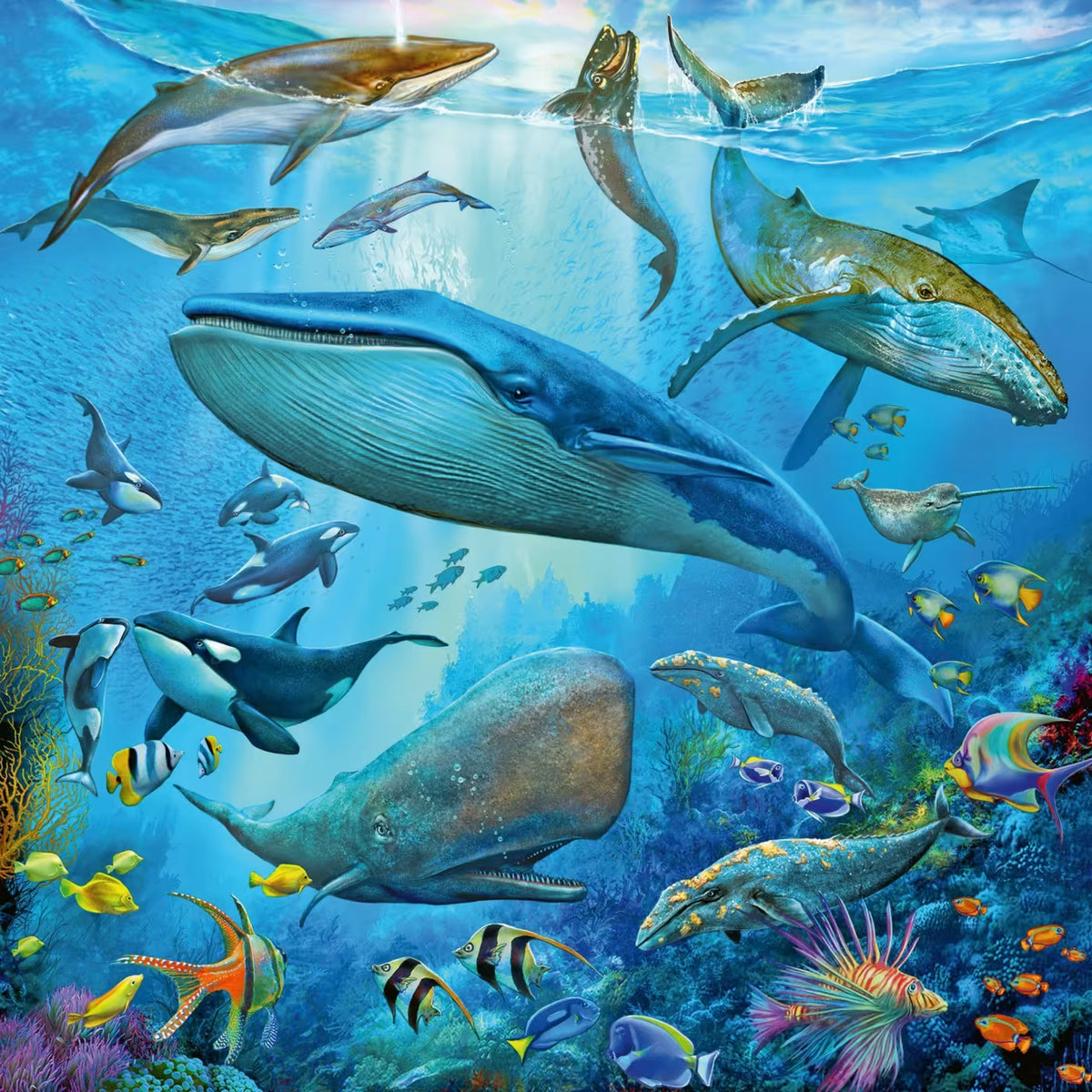 Ravensburger Ocean Life Puzzle 3 x 49 Pieces - Kids Set