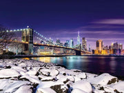 Winter In New York 1500 Piece Puzzle