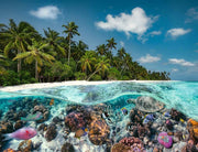 Ravensburger A Dive in the Maldives 2000 Piece Puzzle