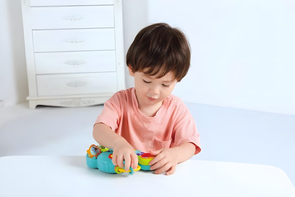 HOLA 2-in-1 Musical Elephant
