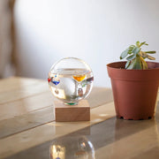 Kikkerland - Galileo Thermometer