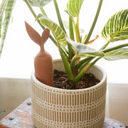 Kikkerland -  Terracotta Watering Stake - Code Y923