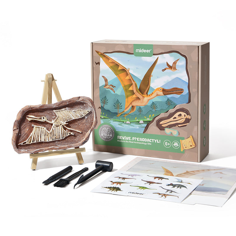 Mideer Steam Game - Revive Pterosaur – Educational Science Toy for Kids - Ages 6+
