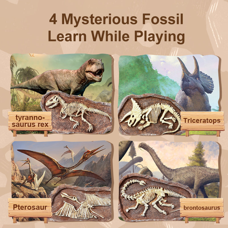 Mideer Steam Game - Revive Triceratops – Educational Science Toy for Kids - Ages 6+