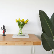 Balvi - Key Hanger,Cactus,Black,Metal