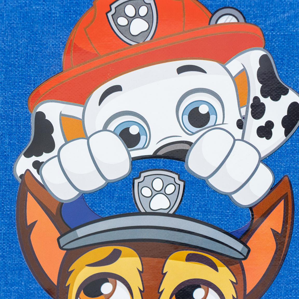 Cerda PAW Patrol Thermal Lunch Bag - Insulated Kids Lunch Bag