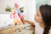 Barbie Doll and Accessories (Blonde)