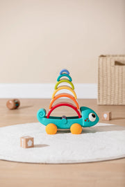 HOLA Rainbow Chameleon