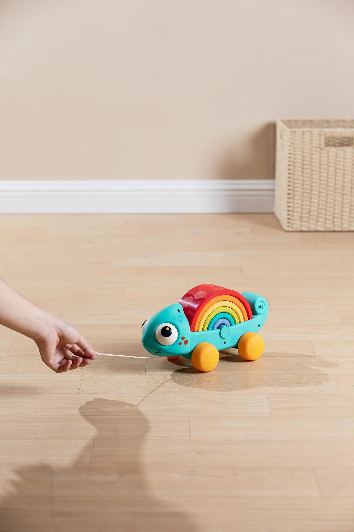 HOLA Rainbow Chameleon