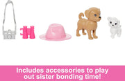 Barbie Stacie Doll Set with 2 Pet Dogs and Accessories