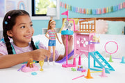 Barbie & Stacie Puppy Obstacle Course Playset with Doll