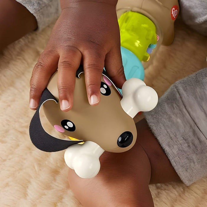 Fisher-Price Activity Puppy with Sounds and Twists