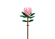 Sluban Protea Cynaroides Building Blocks Set