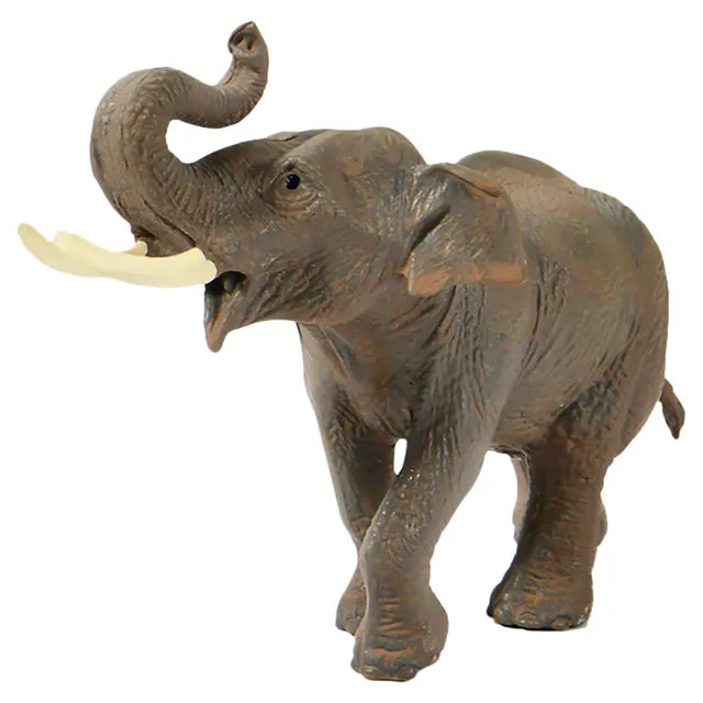 Mideer Simulation Toy Set