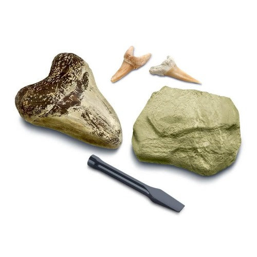 Mini Shark Tooth Excavation Kit (2 Pack)