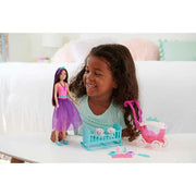Barbie Skipper Playset