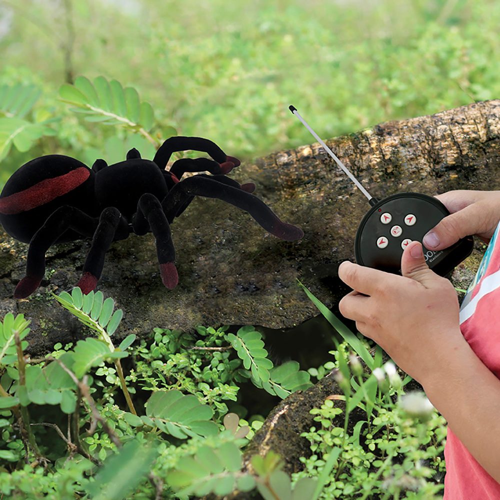 Toy RC Tarantula