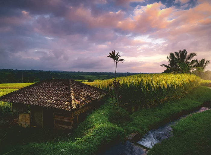 Ravensburger Rice Fields of Northern Bali 500 Piece Puzzle