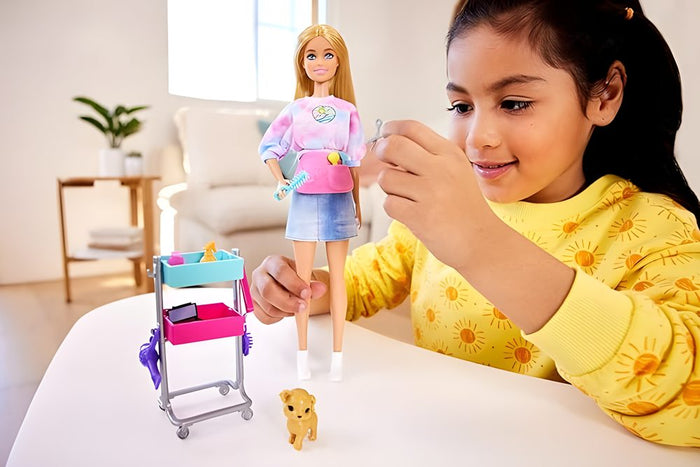 Barbie Malibu Stylist Doll