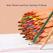 Mideer Vibrant Coloured Pencil Set - 24 Colours