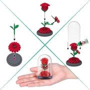 5 Surprise Botanical Garden Series 1 (Display of 25)